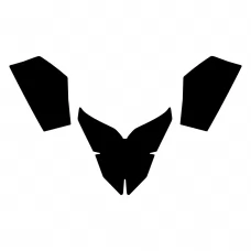 BRP Lynx Rave 2005 2006 2007 2008 2009 Graphic Templates