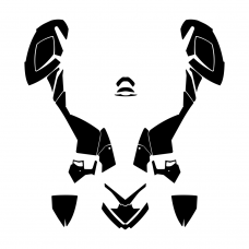 Polaris OUTLAW Graphic Templates