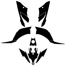 Yamaha RAPTOR YFM 250 Graphics Template