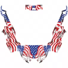 Polaris GENERAL 1000 EPS 2016- EAGLE EDITABLE DESIGNS Graphic Templates