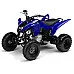 Yamaha Raptor YFM 125 Graphics Template Yamaha Raptor YFM 125 Graphics Template