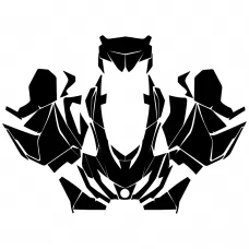 BRP Lynx Rave RS 2008 2009 2010 2011 2012 Graphic Templates