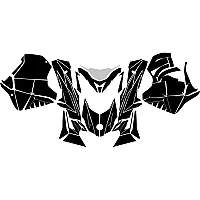 BRP LYNX Rave RS 2012 2013 2014 2015 2016 2017 Graphic Templates